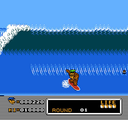 t and c surf nes